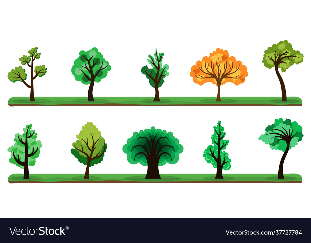 Trees collection set color tree vector image Trees collection set color tree