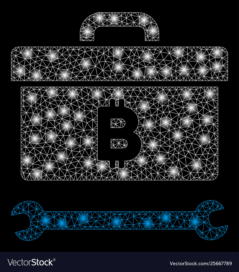 Bright mesh wire frame bitcoin toolbox with light vector image Bright mesh wire frame bitcoin toolbox with light