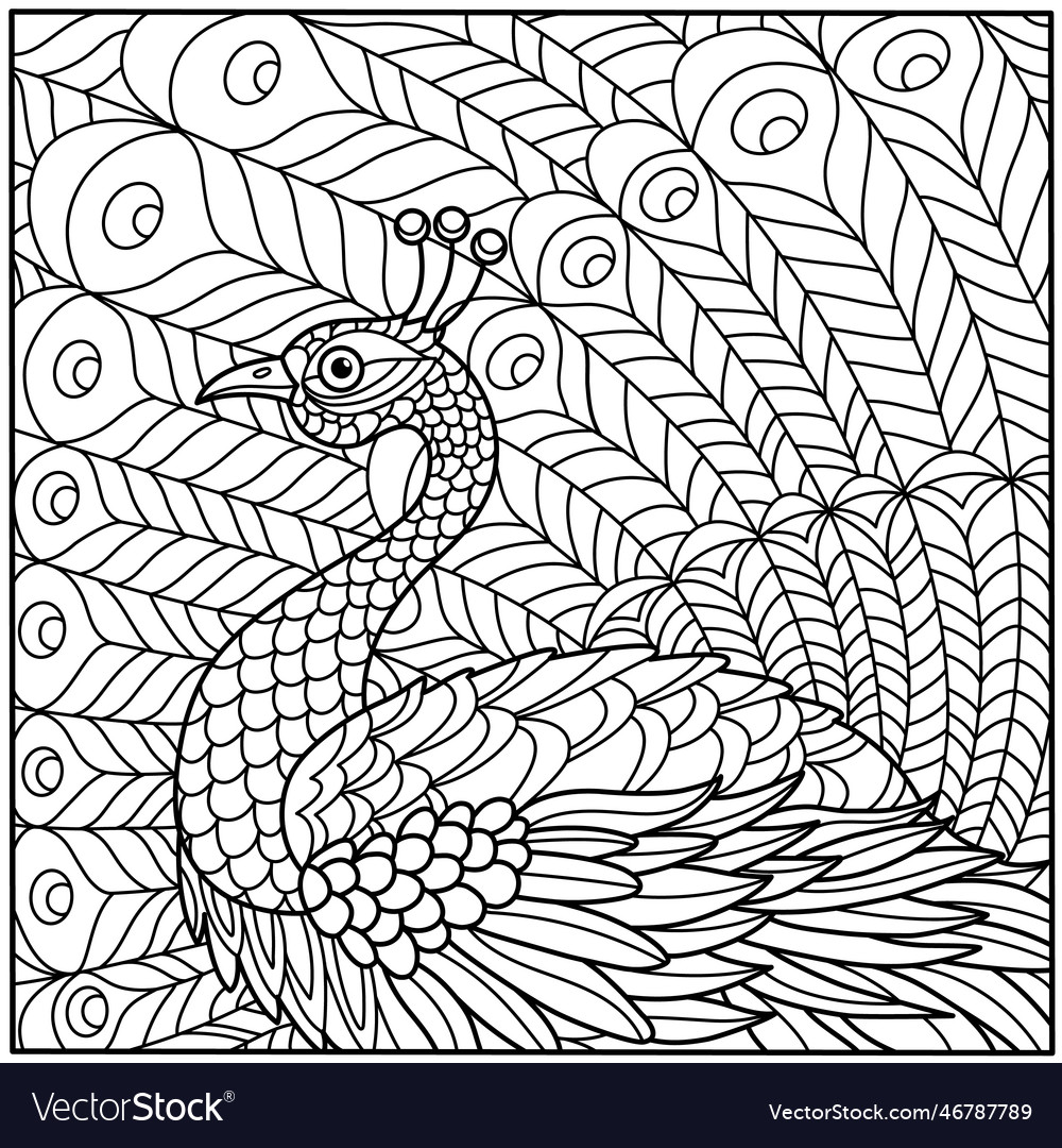 Peacock coloring outline Royalty Free Vector Image