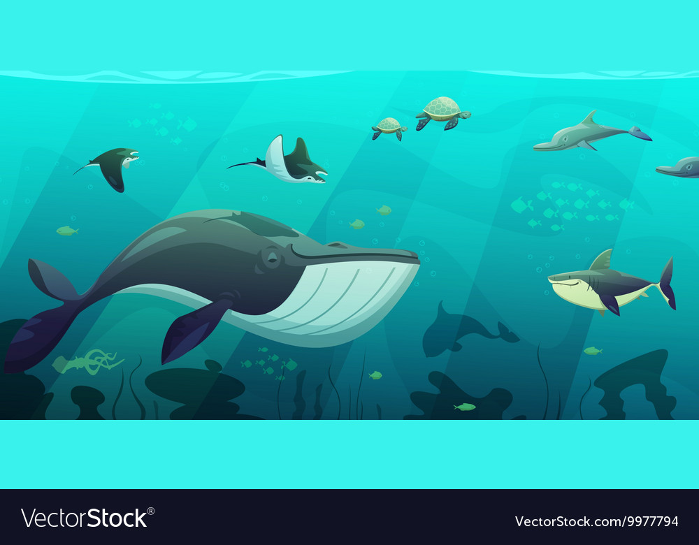 Underwater Marine Ocean Life Abstract Banner Vector Image