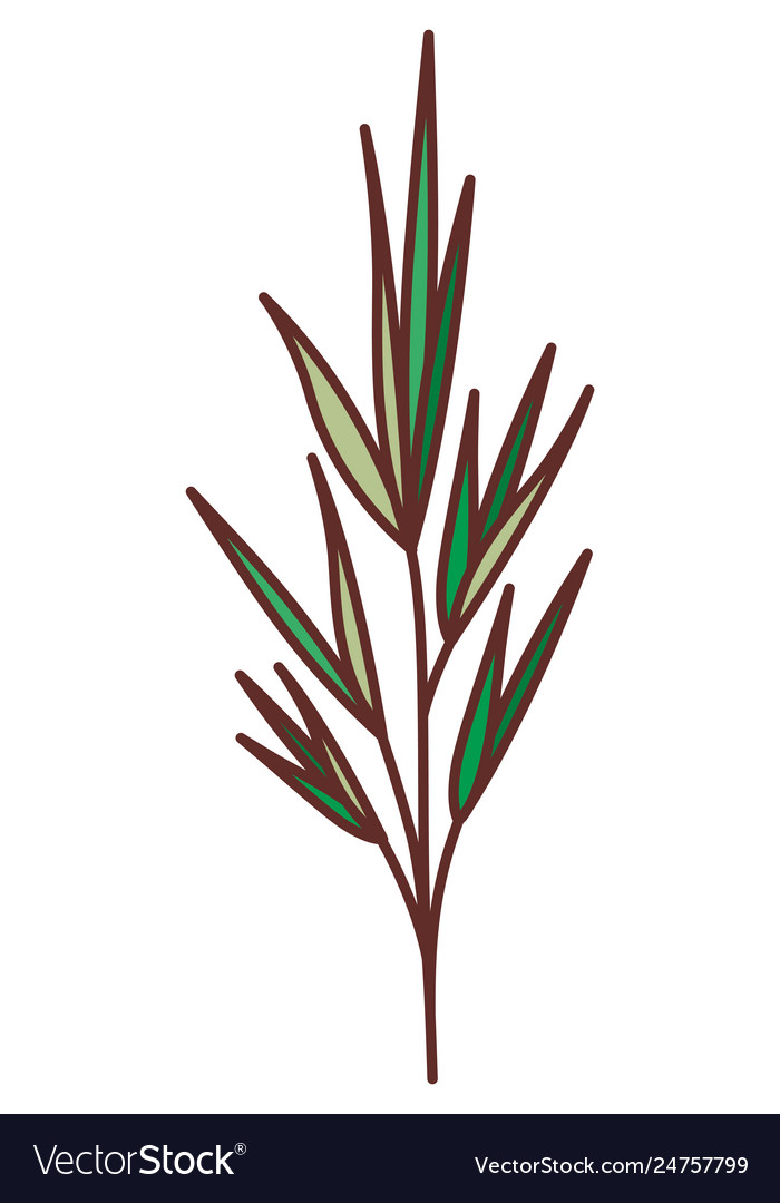 Branch with leafs isolated icon