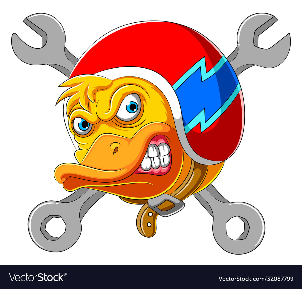 Duck with discount helmet for bike