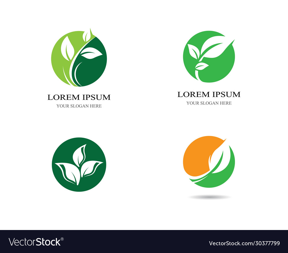 Leaf symbol icon Royalty Free Vector Image - VectorStock