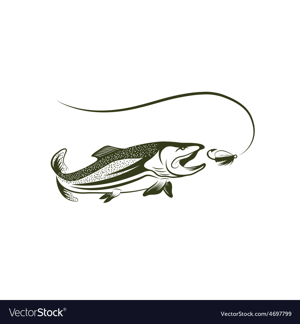 Trout and lure design template Royalty Free Vector Image