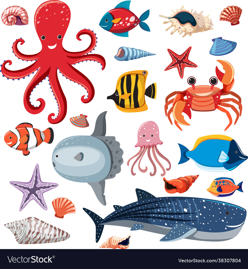 Cartoon sea life seamless pattern