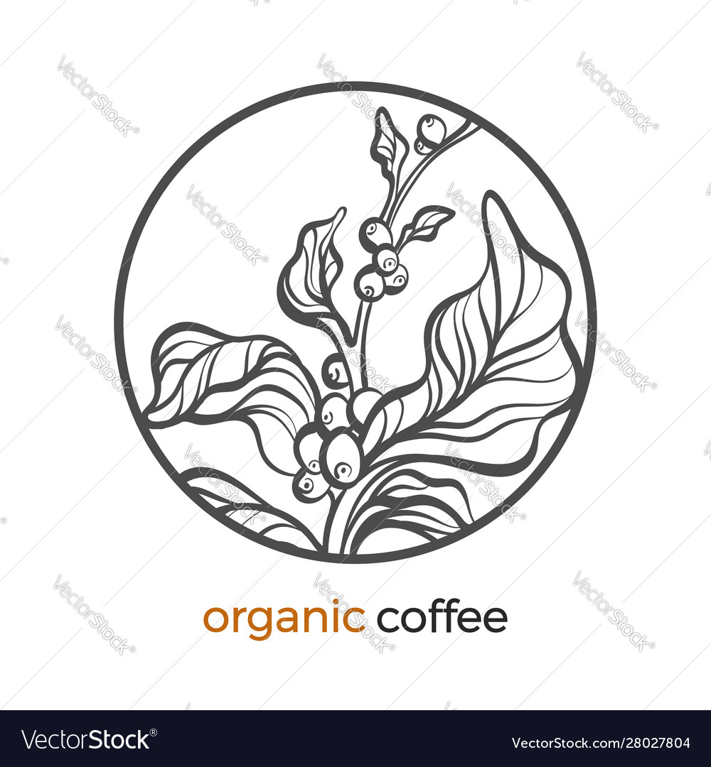 Kaffee Zweig Kreis Logo 2