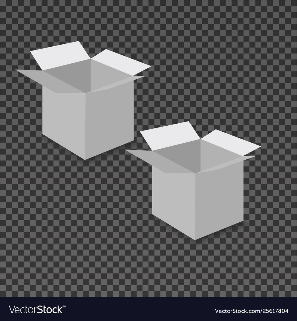 Two open square blank packaging boxes mockup Vector Image