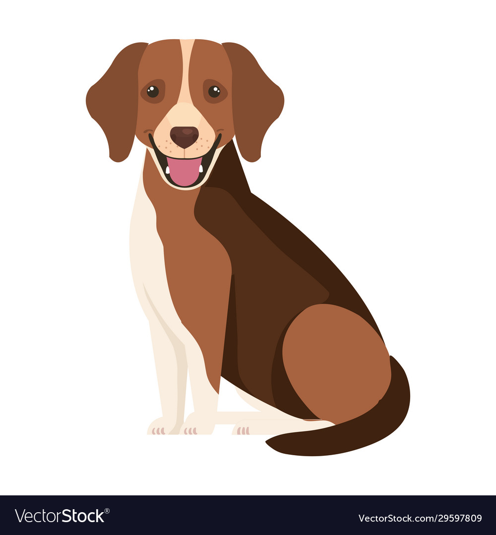 Brown dog with white spot isolated icon Royalty Free Vector