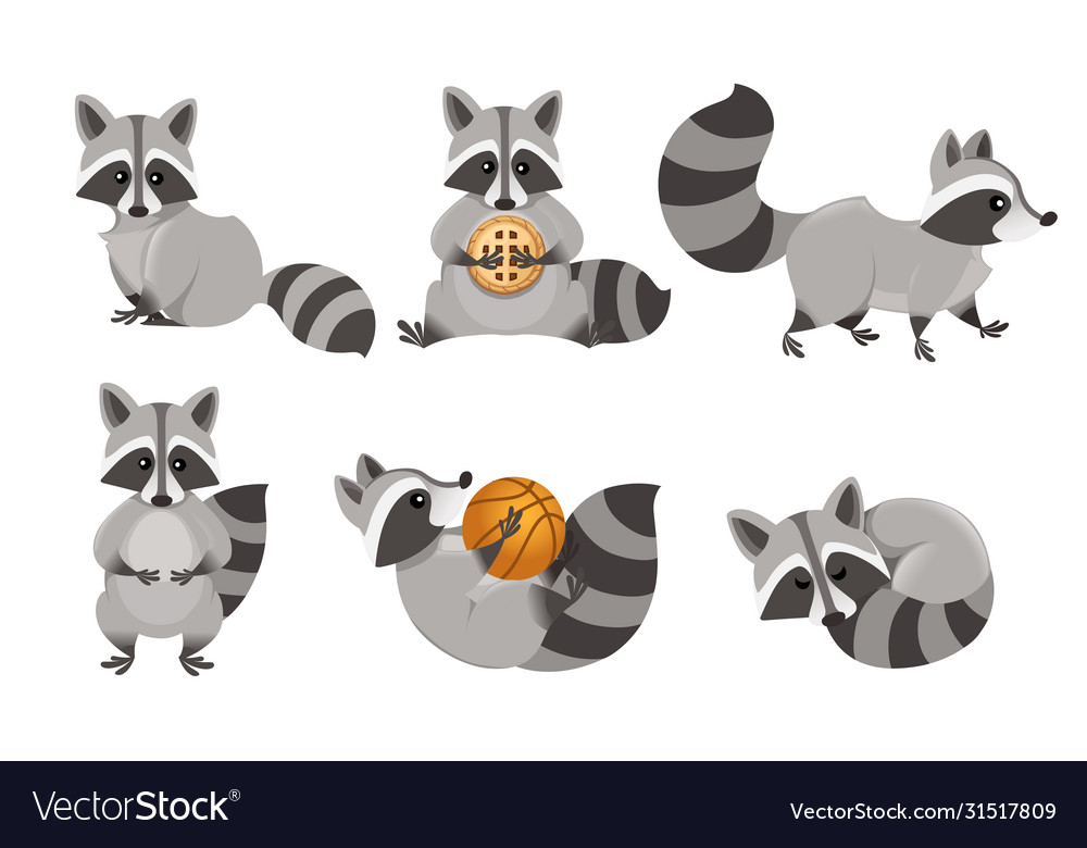 Cute cartoon raccoon set funny raccoons