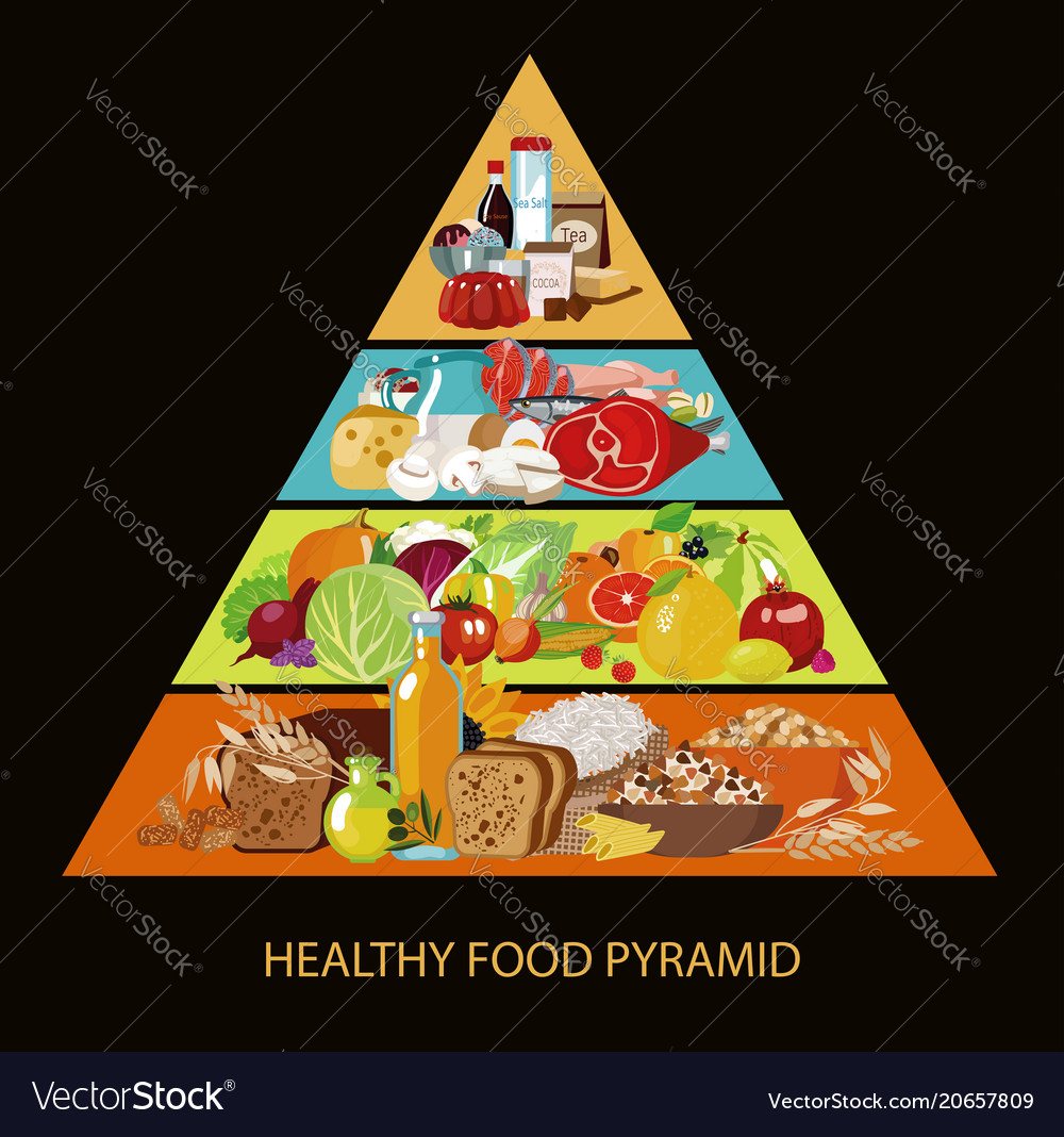 Food Pyramid Royalty Free Vector Image - Vectorstock