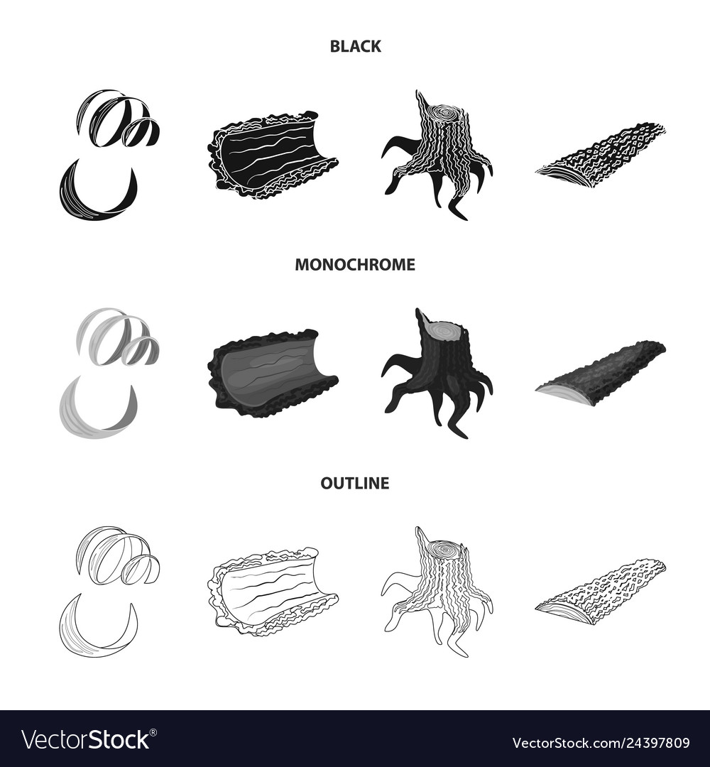 Isolated object of tree and raw symbol collection