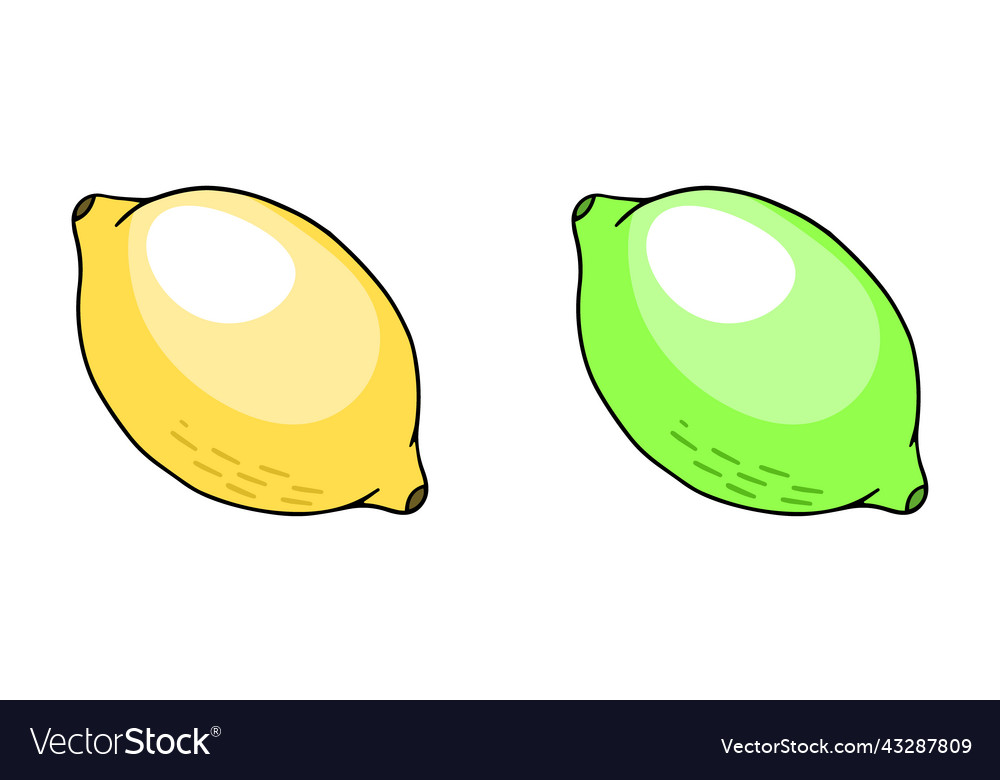 Lemon and lime design element in the style