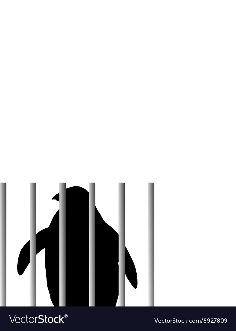 Penguin in zoo