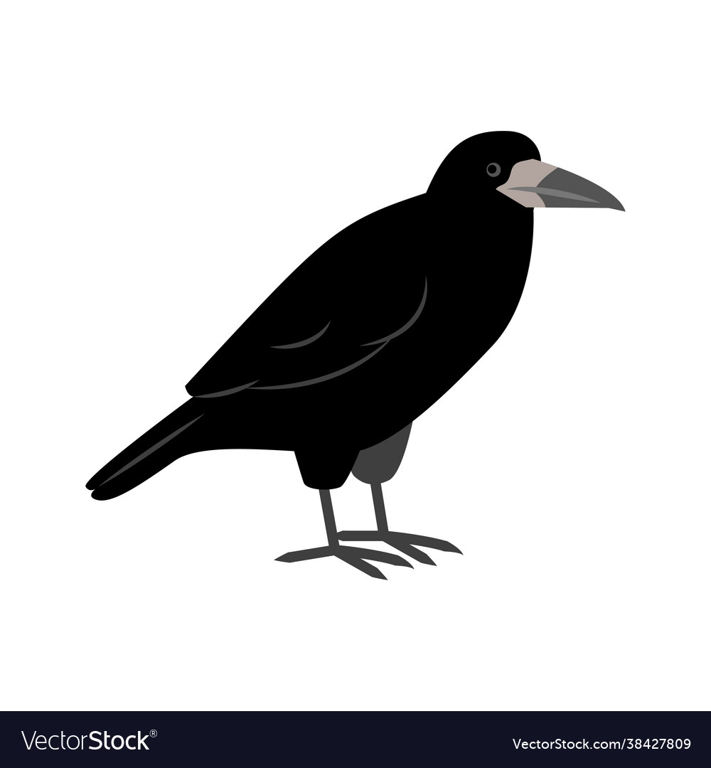 Rook standing isolated on a white background city