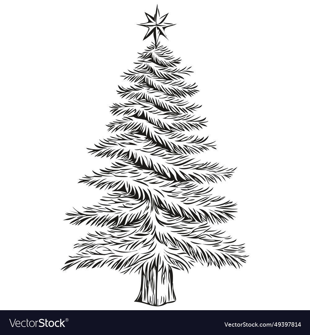 Christmas tree vintage engraved hand drawn sketch Vector Image