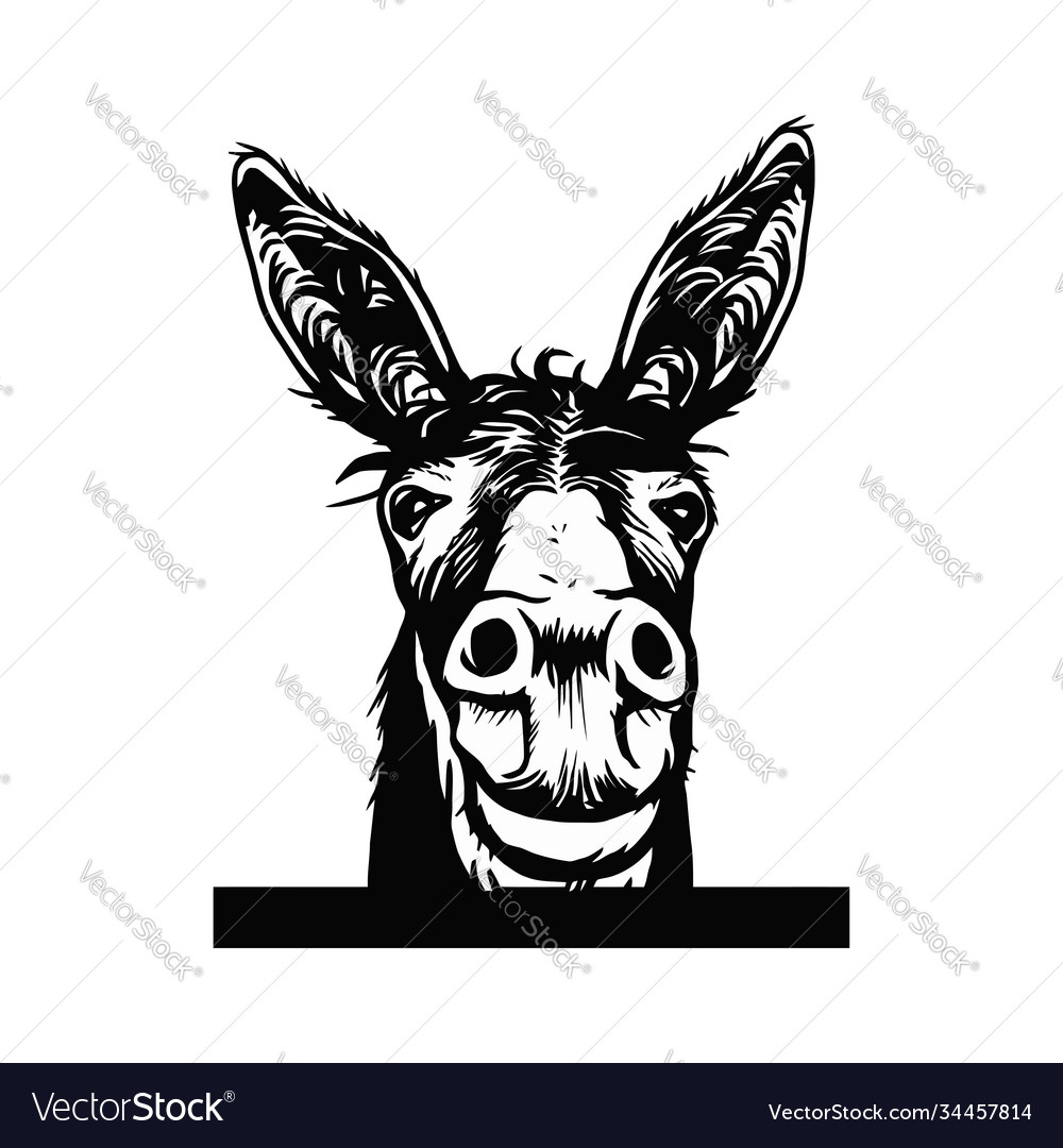 Donkey sketch graphics a monochrome graphic Vector Image