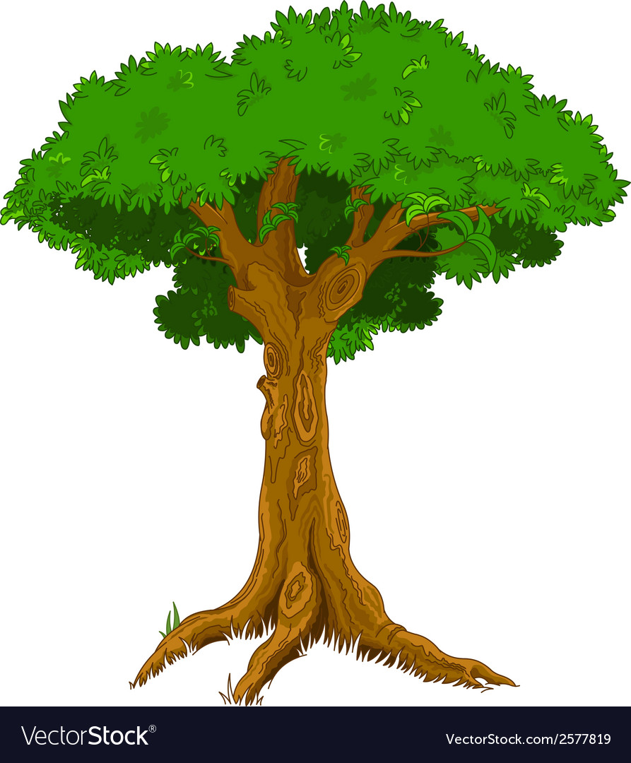 Majestic tree Royalty Free Vector Image - VectorStock