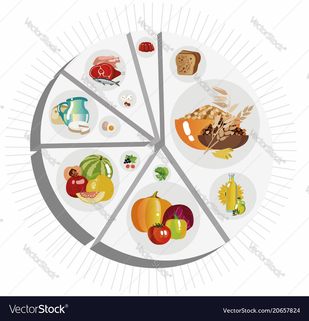 Food pyramid pie chart Royalty Free Vector Image