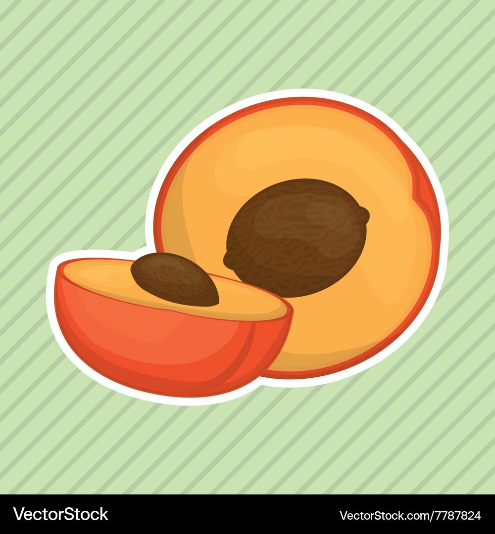 Fruit icon design Royalty Free Vector Image - VectorStock