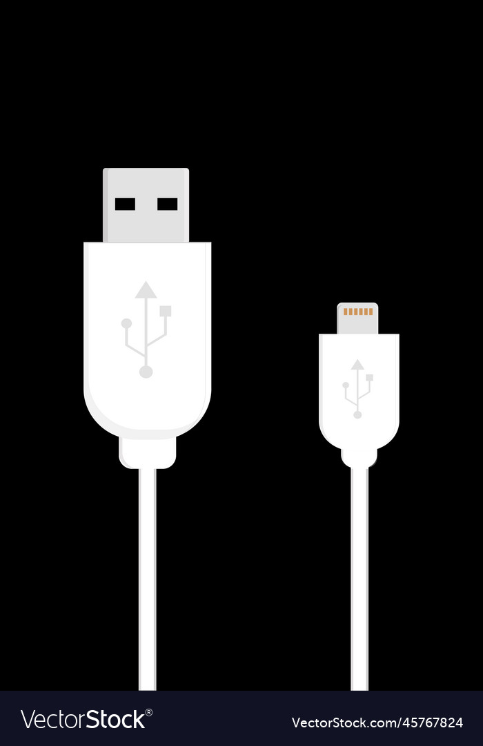 Usb input cable for computer or laptop vector image Usb input cable for computer or laptop