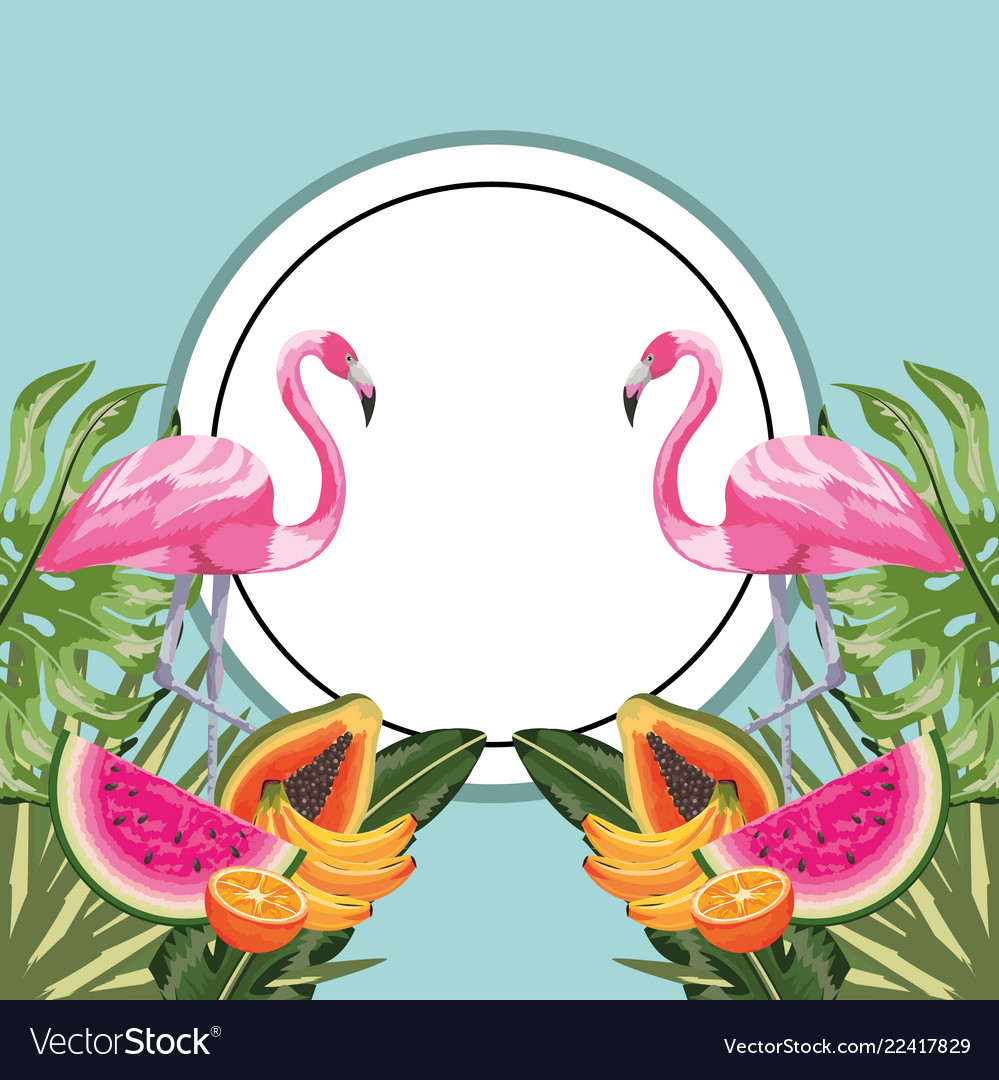 Circle sticker with flamingo and tropical fruits Vector Image