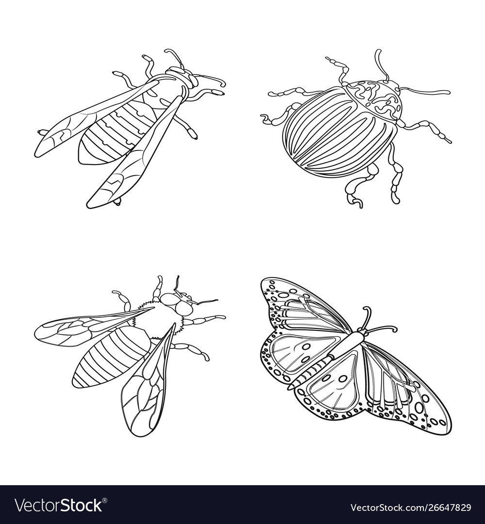 Royal Entomological Society Logo Maine Entomological Society Home Page