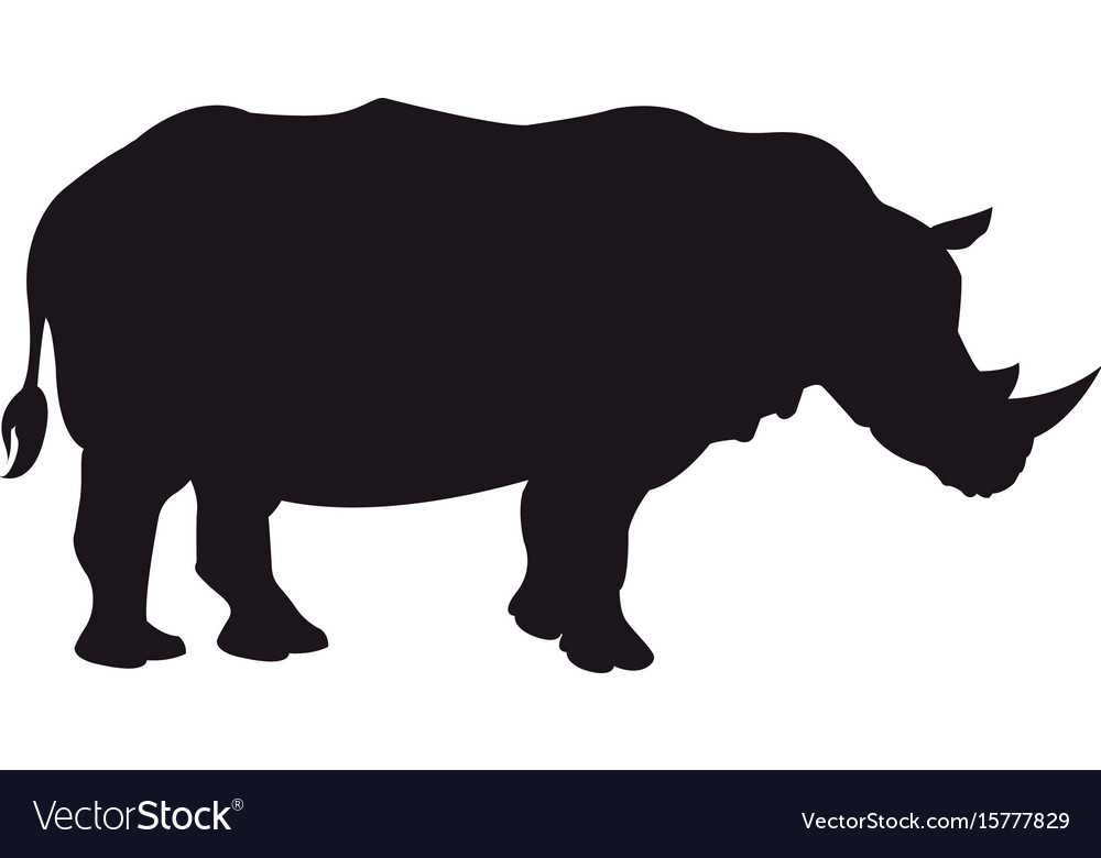 Rhino wild animal africa exotic mammal Royalty Free Vector