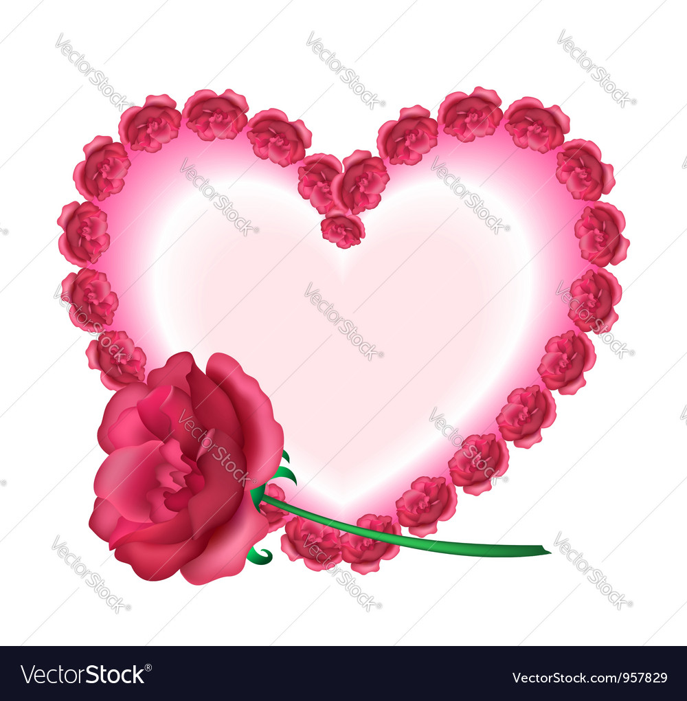 Roses Background Royalty Free Vector Image VectorStock