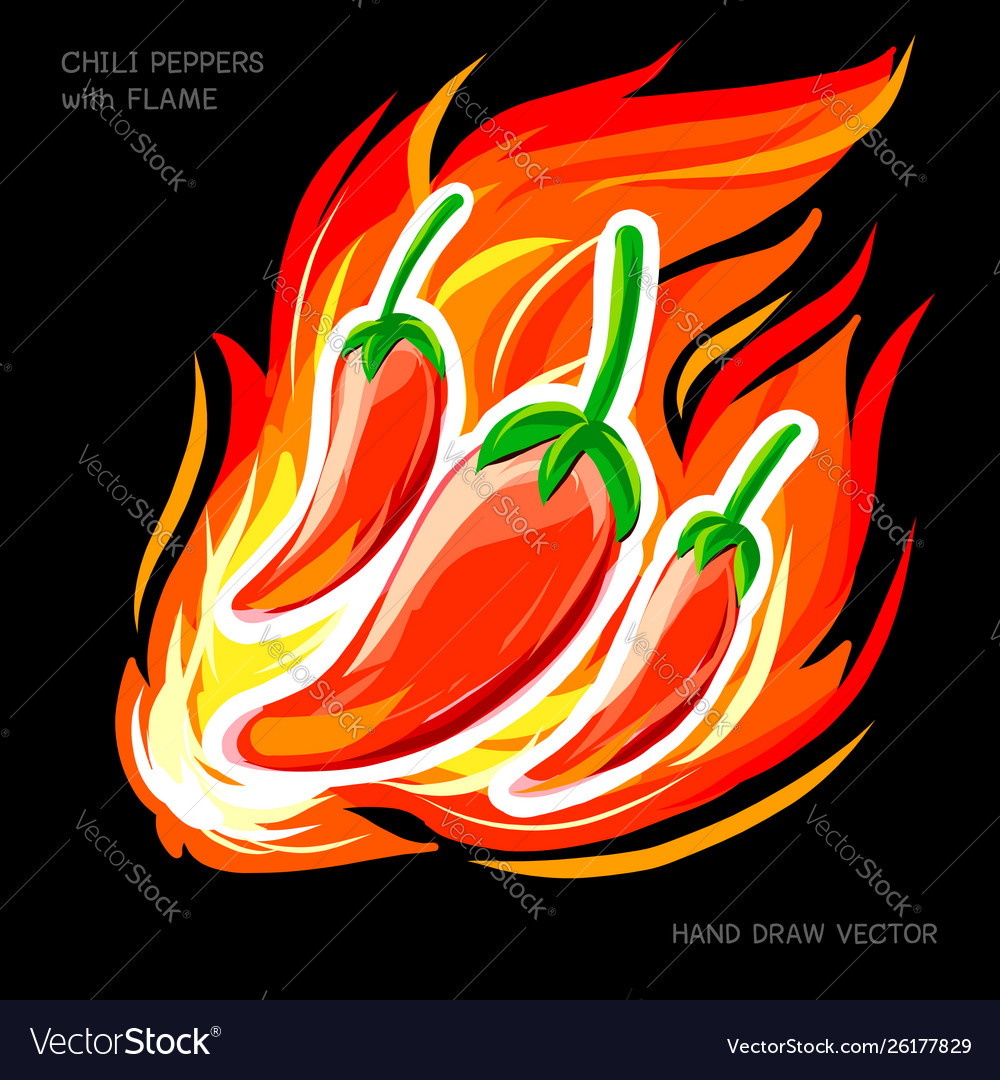 Spicy Chili Peppers with Flame - Hand Drawn