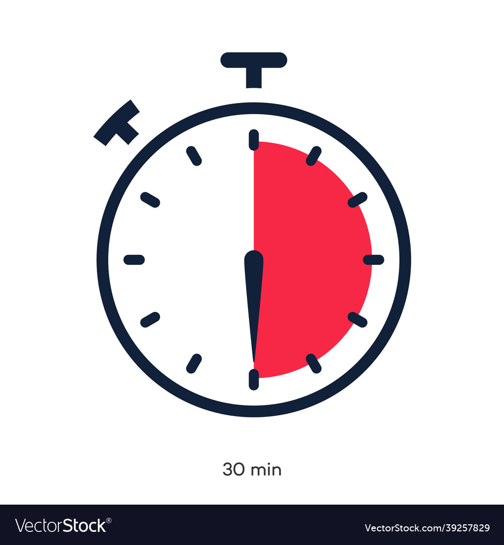 Timer 30 minutes symbol color style Royalty Free Vector