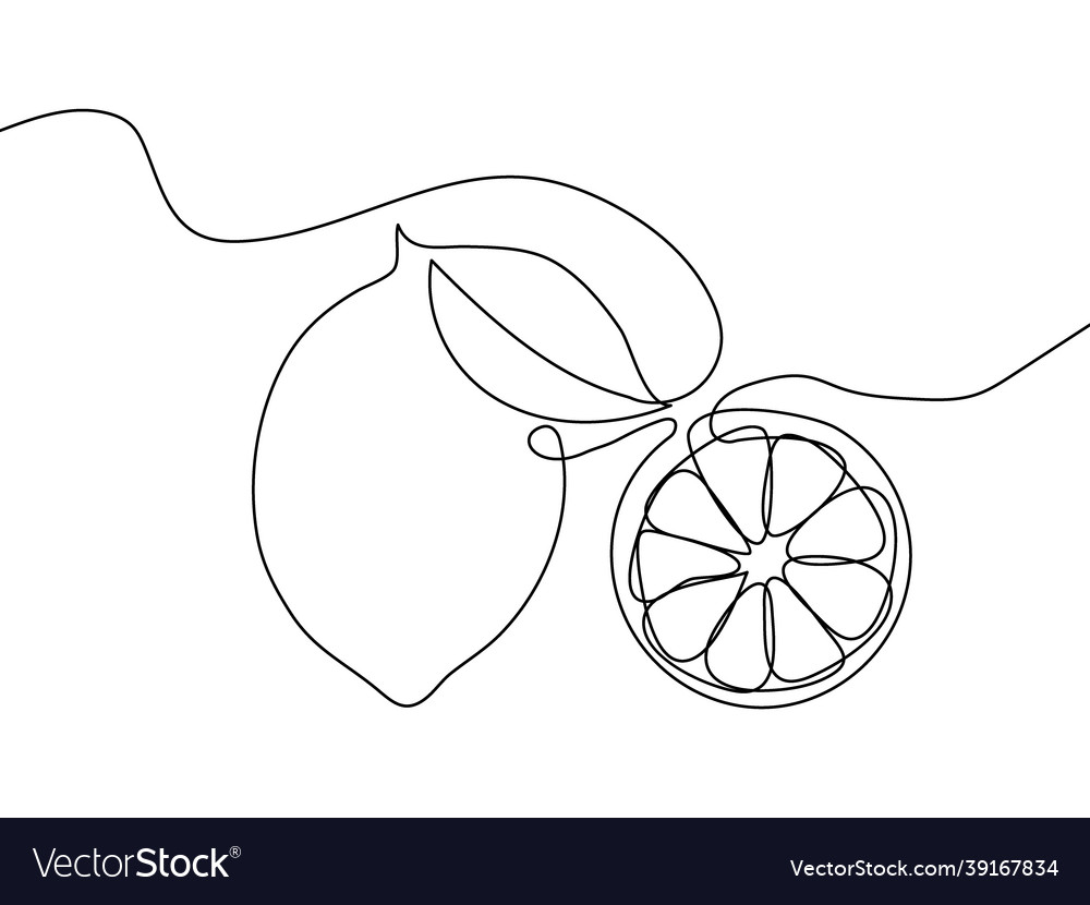 Lemon and a slice of fruit one line continuous