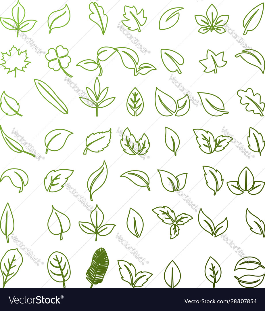 Set isolated green leaves icons on white backgr