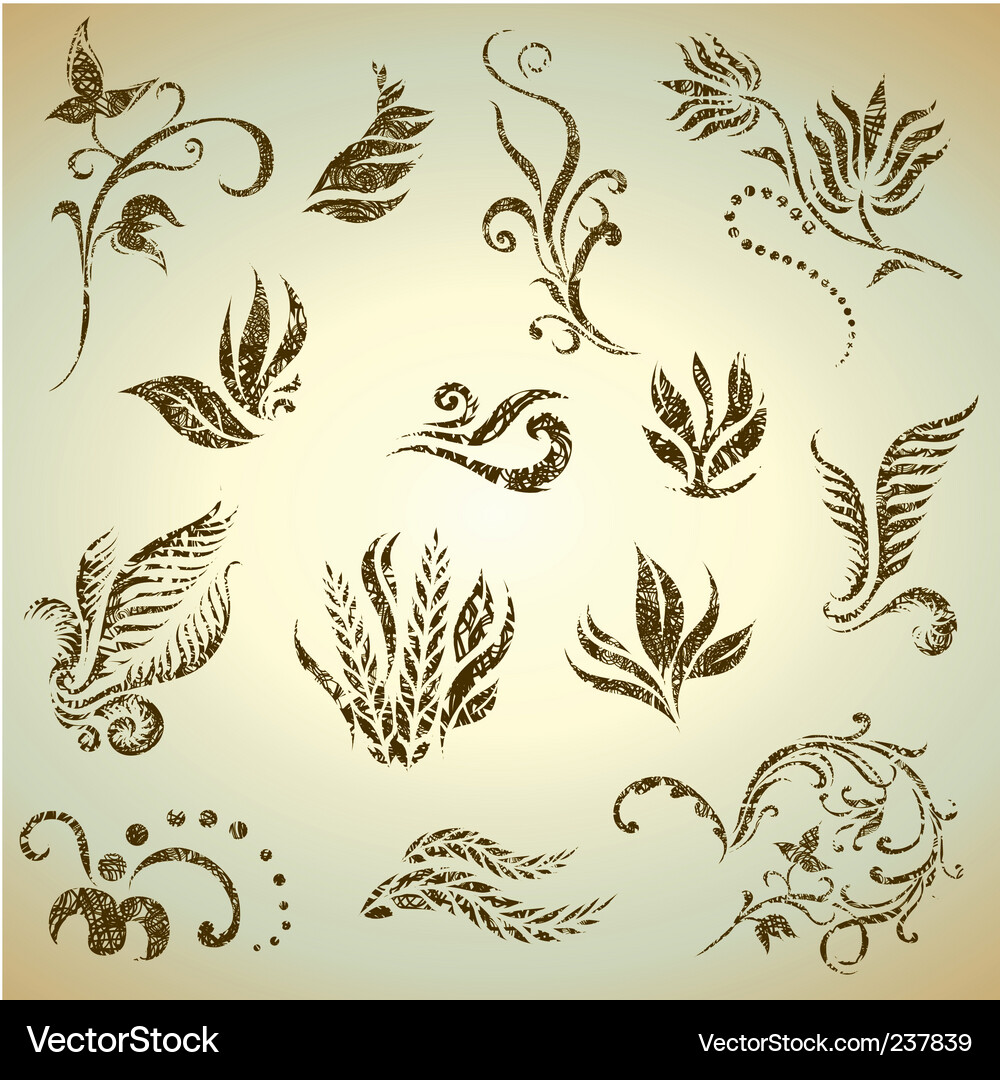 Floral grunge elements Royalty Free Vector Image