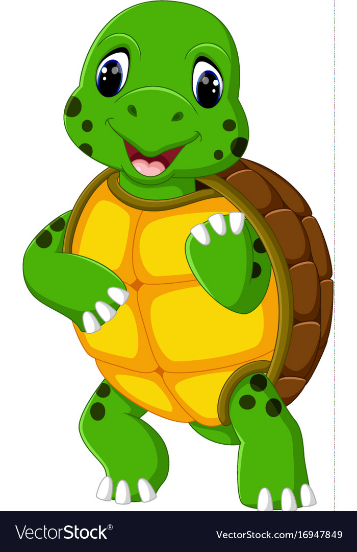 Cute turtle cartoon Royalty Free Vector Image - VectorStock