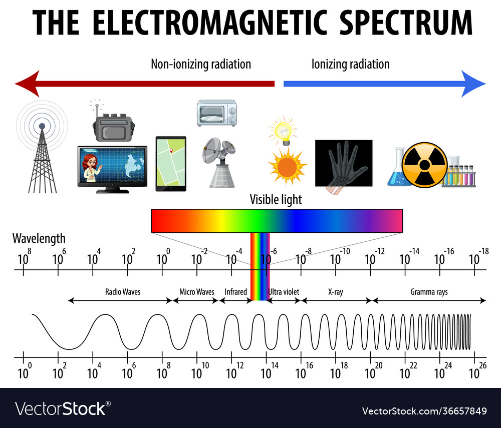 Science spectrum diagram Vector Image