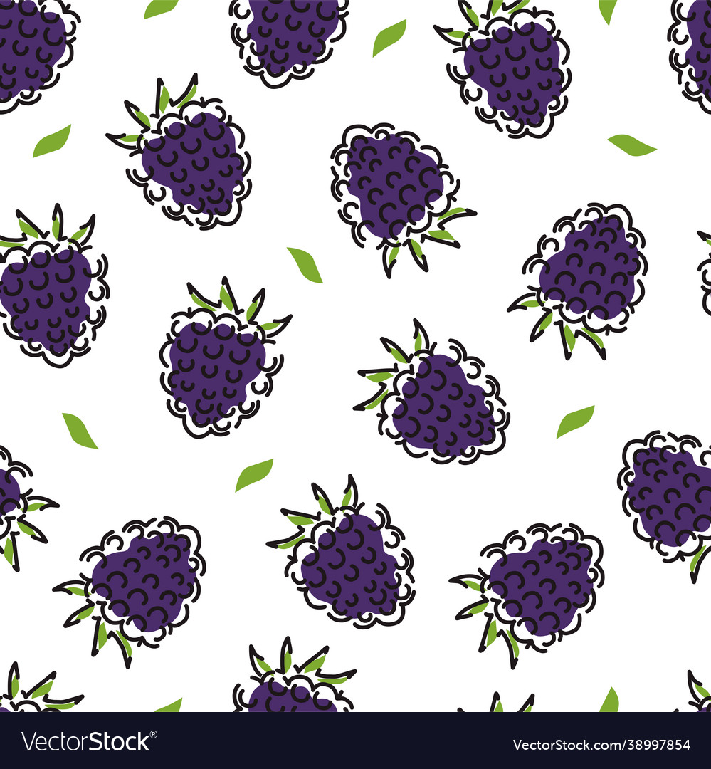 Black raspberry seamless pattern on a white Vector Image Black raspberry seamless pattern on a white