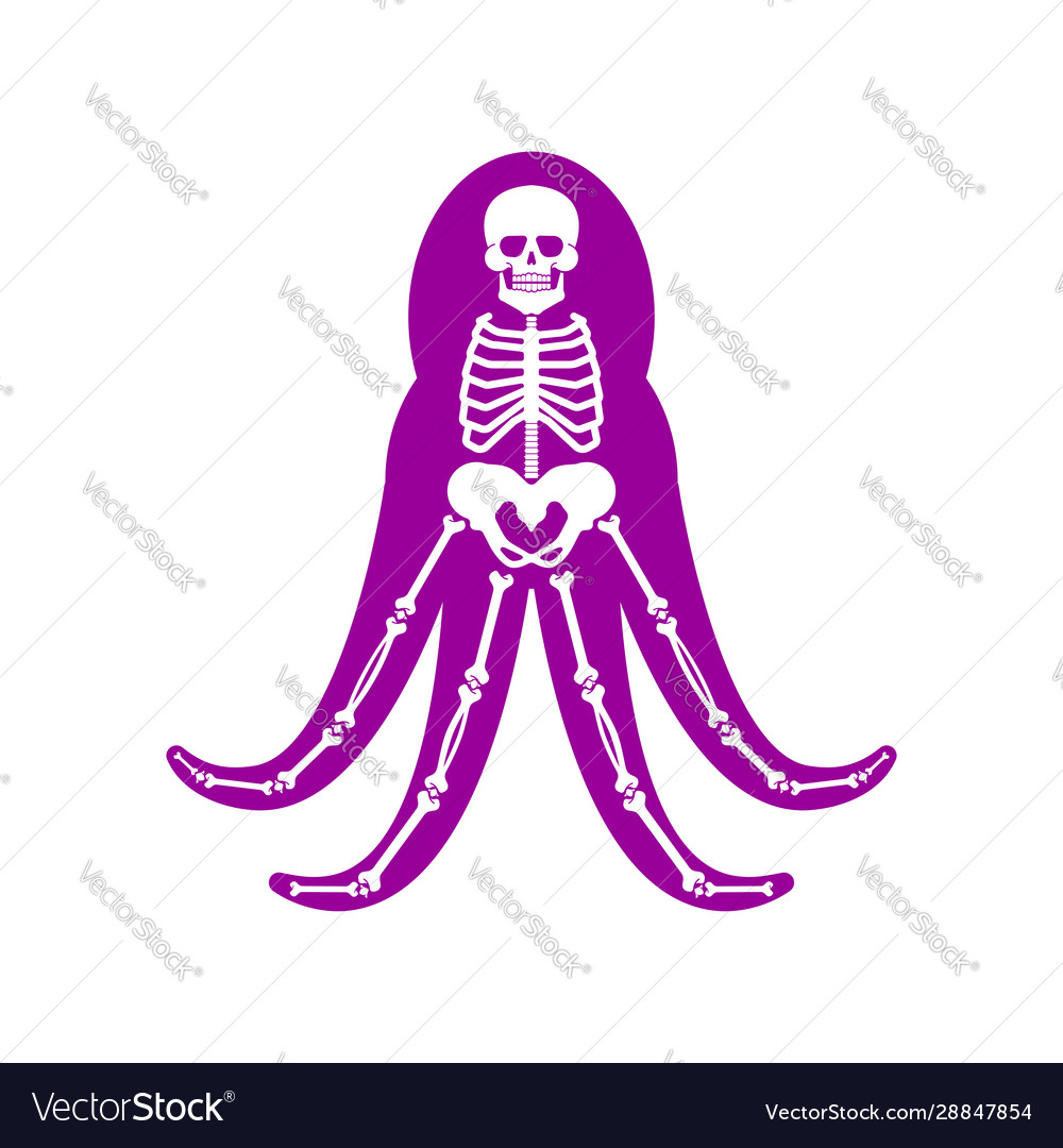 Anatomy of an Octopus