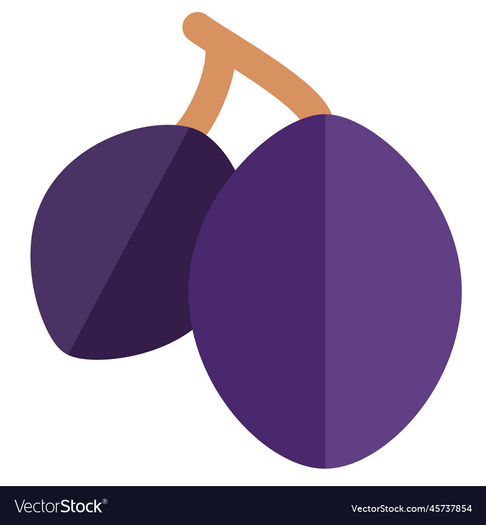 Pair of fresh java plum with stem