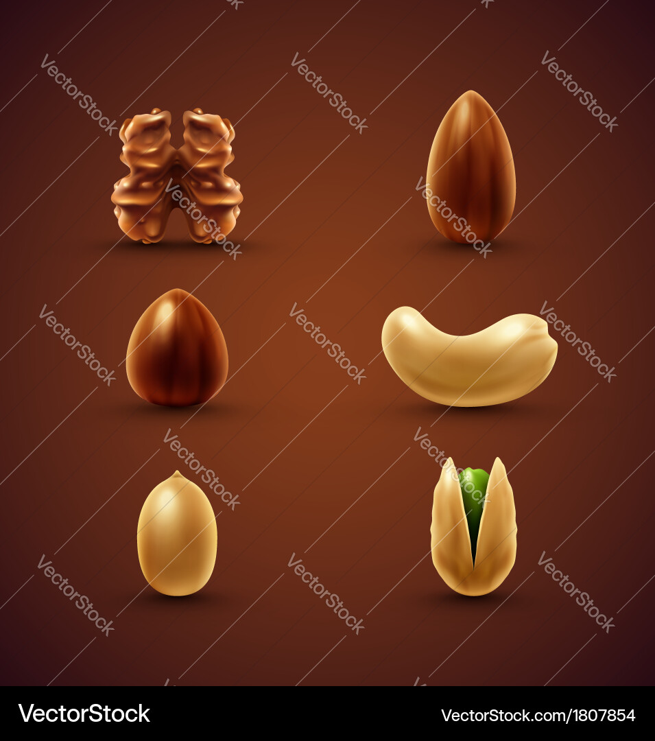 Set of nuts Royalty Free Vector Image - VectorStock