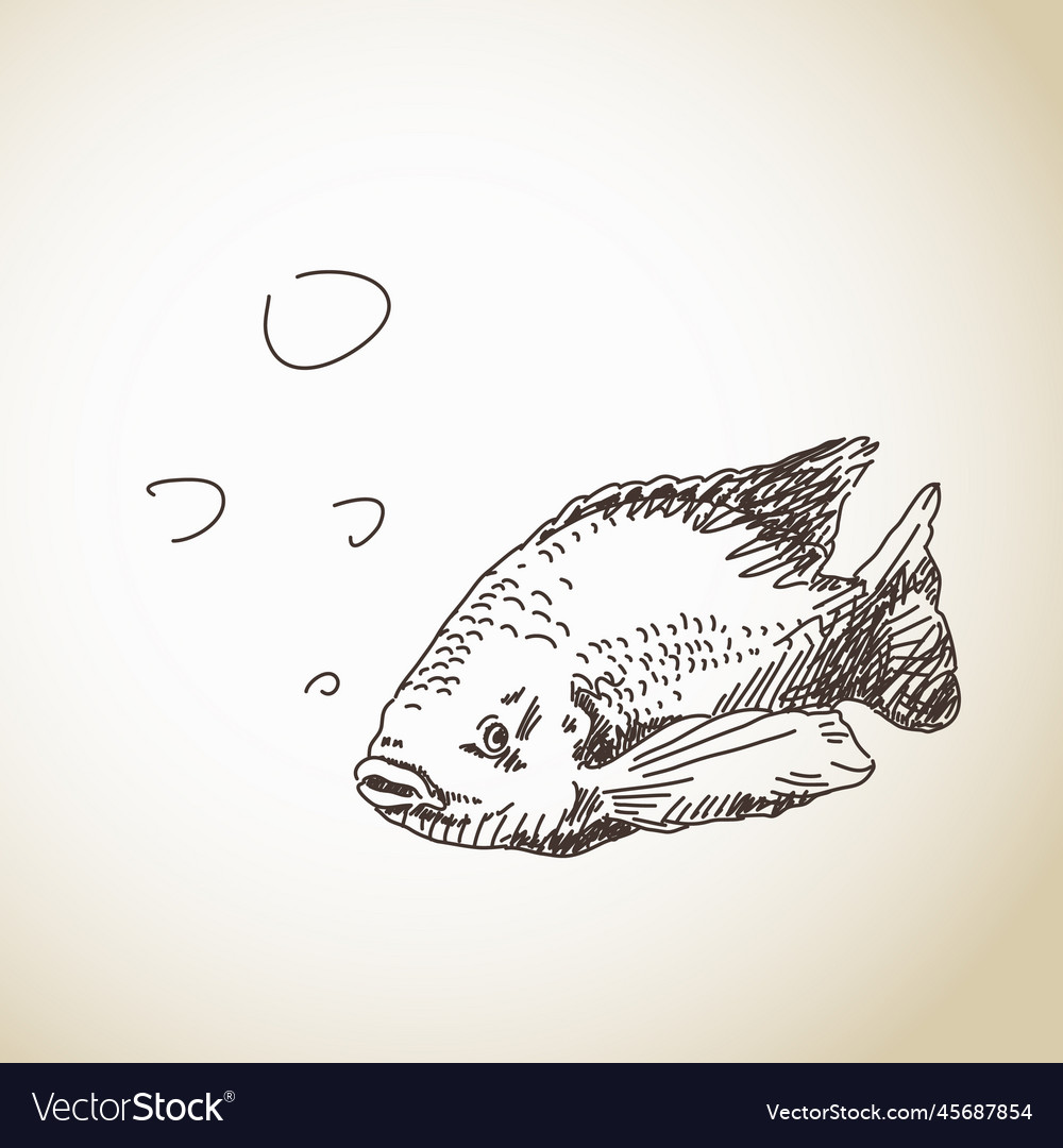 Sketch of fish