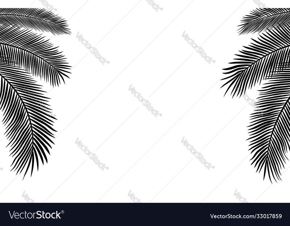 Copyspace template with palm leaves silhouettes Vector Image