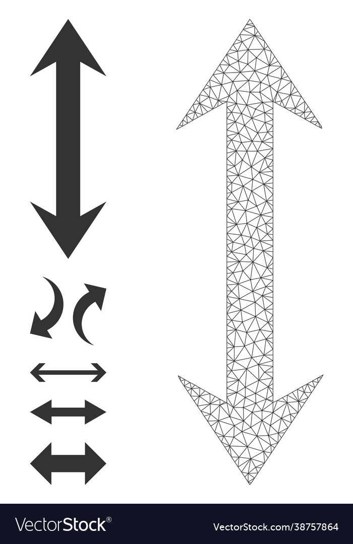 Web net vertical flip icon with simple pictograms vector image Web net vertical flip icon with simple pictograms