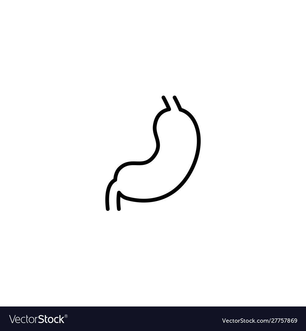 Human stomach icon Royalty Free Vector Image - VectorStock