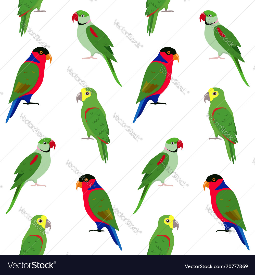 Seamless pattern with colorful parrots vector image Seamless pattern with colorful parrots