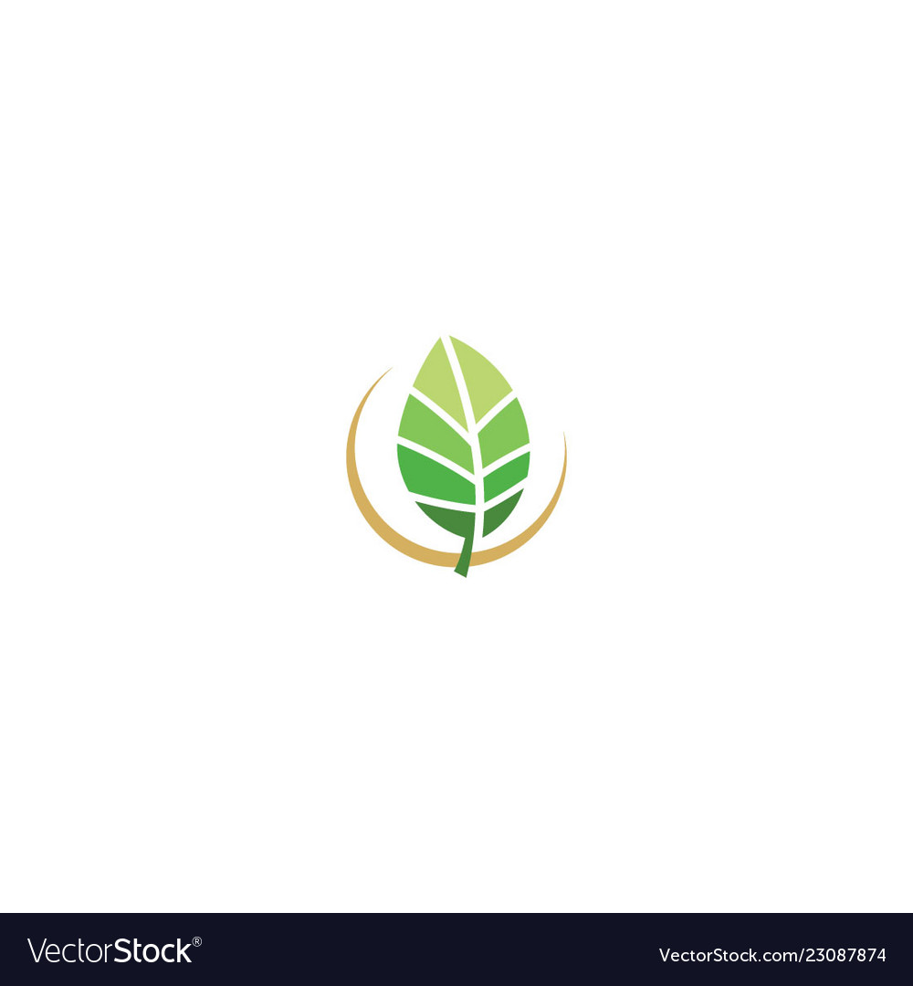 Green leaf organic eco nature logo Royalty Free Vector Image