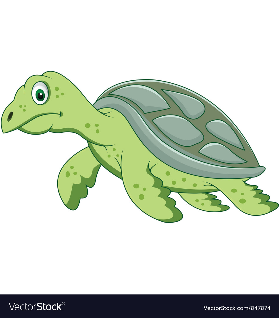 Turtle cartoon