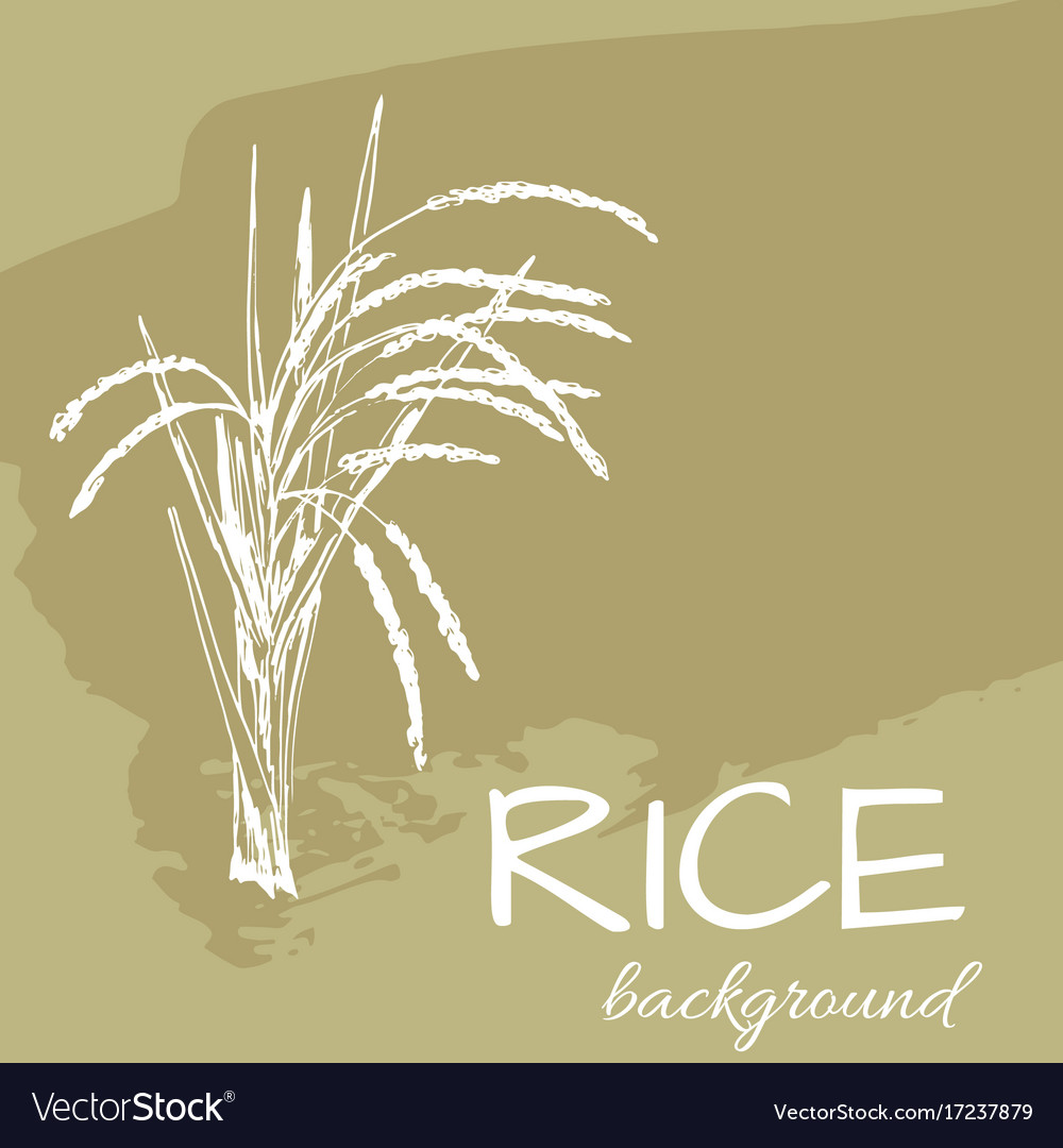 Background rice2eps