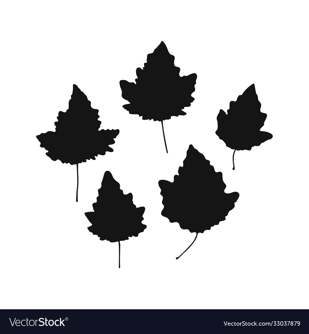 Leaf silhouettes Royalty Free Vector Image - VectorStock