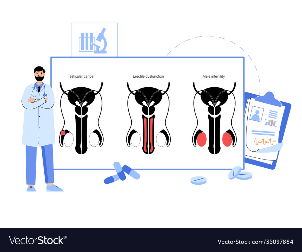 Man reproducive system problems vector image Man reproducive system problems