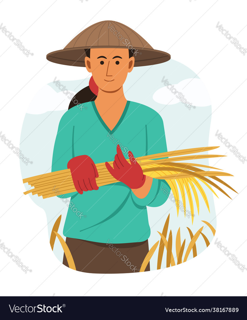 Asian woman farmer hold dry rice from harvest Vector Image